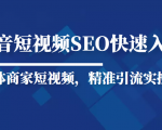 抖音短视频Seo搜索排名优化新手快速入门教程,实体商家短视频,精准引流实操课-致富资源库