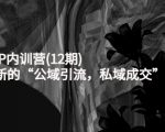 新媒体IP内训营(12期)，一套全新的“公域引流，私域成交”IP打法，直接带走-致富资源库
