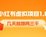 《小红书虚拟项目1.0》账号注册+养号+视频制作+引流+变现，几天就赚两三千-致富资源库