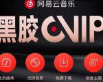 网易云音乐撸黑胶年卡及变现方法，收益可无限放大-致富资源库