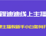 暴躁迪迪线上主播课，金牌主播教新手小白如何开播-致富资源库