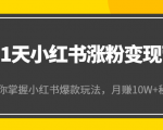 21天小红书涨粉变现营(第4期):带你掌握小红书爆款玩法,月赚10W+秘密-致富资源库