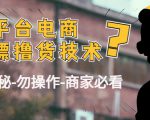 外面收费2980的全平台电商白嫖撸货技术(仅揭秘勿操作-商家防范必看)-致富资源库
