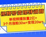 21天视频号变现特训营：单视频播放量2亿+3个月涨粉30w+变现20w+（第14期）-致富资源库