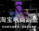 蓝Sir派·淘宝短视频快速起店，替代传统搜索方式，学会做一个不一样的淘宝店-致富资源库