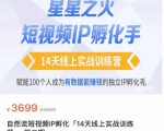 瑶瑶·自然流短视频IP孵化第二期,14天线上实战训练营,赋能100个人成为有数据能赚钱的独立IP孵化手-致富资源库
