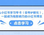 厦九九小红书学习年卡（全年IP孵化），沉浸式学习，一起成为有影响力的小红书博主-致富资源库