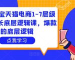 大圣淘宝天猫电商1-7层级盈利增长底层逻辑课，爆款的底层逻辑-致富资源库