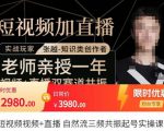 张越·短视频+直播,自然流三频共振起号实操课,短视频所有流量玩法讲解-致富资源库