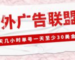 外面收费1980的最新国外LEAD广告联盟搬砖项目,单号一天至少30美金【详细玩法教程】-致富资源库