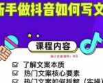 新手做抖音如何写文案,手把手实操如何拆解热门文案-致富资源库