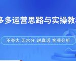拼多多店铺运营思路与实操教程,快速学会拼多多开店和运营,少踩坑,多盈利-致富资源库