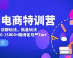 美团电商特训营:美团·店群玩法,无脑铺货月产出6000-15000+精细化月产2w+-致富资源库
