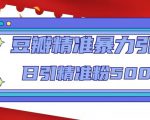 豆瓣精准暴力引流,日引精准粉500+【12课时】-致富资源库