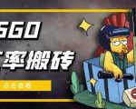外面9800的CSGO汇率搬砖项目,一个月轻松赚几千【选品软件+详细教程】-致富资源库