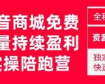 抖音商城搜索持续盈利陪跑成长营,抖音商城搜索从0-1、从1到10的全面解决方案-致富资源库