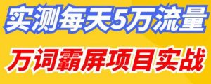 百度万词霸屏实操项目引流课，30天霸屏10万关键词-致富资源库