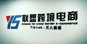 YS联盟·Tiktok无人直播，不出镜不剪辑不拍摄不发货无售后的跨境短视频躺赚玩法-致富资源库