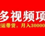 多多带货视频快速50爆款拿带货资格，搬运带货，月入30000【全套脚本+详细玩法】-致富资源库