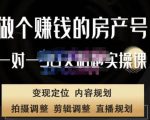 刘广标·同城房产号线上陪跑课,拍摄、剪辑、写文案、直播,做一个具有潜力价值的房产号-致富资源库