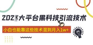 大平台黑科技引流技术，小白也能靠这些技术混到月入1w+(2022年的课程）-致富资源库
