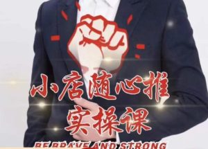 随心推线上课，小店随心推的投放逻辑，投放技巧，快速打标签-致富资源库