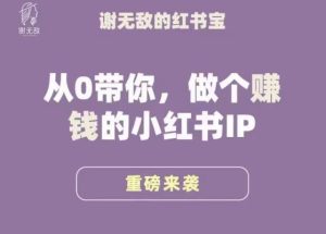 谢无敌·小红书运营大宝典,从0带你做个赚钱的小红书IP-致富资源库