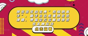 拼多多实战宝典“初级到高手”,新手小白必看拼多多课程,带你全方位解读拼多多各种玩法-致富资源库