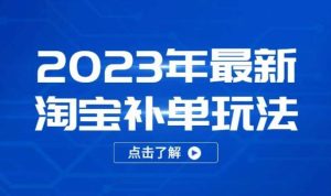2023年最新淘宝补单玩法,18节课让教你快速起新品,安全不降权-致富资源库