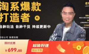 锋投老叶全店动销，淘系干货汇总，各种玩法，淘系爆款打造者-致富资源库