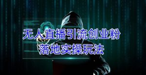 外面收费3980的无人直播引流创业粉落地实操玩法,单日引100+精准创业粉-致富资源库