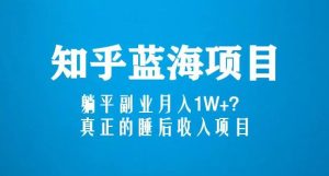 知乎蓝海玩法，躺平副业月入1W+，真正的睡后收入项目（6节视频课）-致富资源库