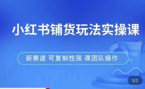 小红书铺货玩法实操课，流量大，竞争小，非常好做，新赛道，可复制性强，可团队操作-致富资源库
