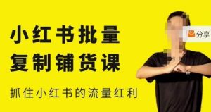 张宾·小红书批量复制铺货课,小红书0-1快速起号变现玩法,抓住小红书的流量红利(更新2023年3月)-致富资源库