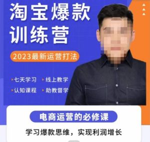 爱上黄昏·淘宝爆款训练营,2023最新运营打法,学习爆款思维,实现利润增长-致富资源库