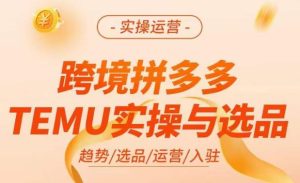 跨境拼多多TEMU实操与选品，​掌握平台运营方法技巧，选品避坑12条标准，爆款的底层思路等-致富资源库