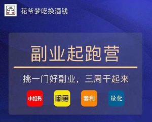 花爷-副业起跑营第2期,挑一门好副业,三周干起来(闲鱼|小红书|量化|套利)-致富资源库