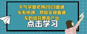 牛气学堂老衲2023直通车系统课,帮你实现直通车的低花费高产出-致富资源库