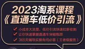 2023直通车低价引流玩法课程,小成本大流量,低价引流快速拉新收割,让你快速掌握直通车突破瓶颈-致富资源库