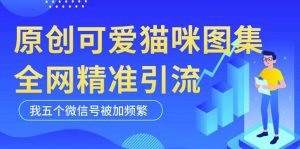 黑科技纯原创可爱猫咪图片,全网精准引流,实操5个VX号被加频繁-致富资源库