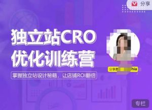 独立站CRO优化训练营，掌握独立站设计秘籍，打造高转化的独立站，让店铺ROI翻倍-致富资源库