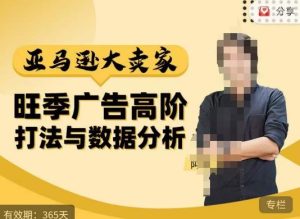 阿甘·亚马逊大卖家广告高阶打法与数据分析,走出传统广告误区;揭秘大卖惯用打法;数据驱动广告决策-致富资源库