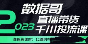 数据哥2023直播电商巨量千川付费投流实操课,快速掌握直播带货运营投放策略-致富资源库
