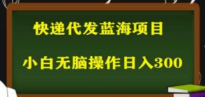 2023最新蓝海快递代发项目，小白零成本照抄也能日入300+-致富资源库