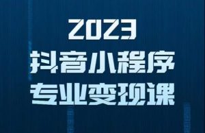 2023年抖音小程序变现保姆级教程，0粉丝新号，无需实名，3天起号，第1条视频就有收入-致富资源库