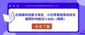 正规暴利流量卡项目,小白零基础零成本无脑照抄也能日入300+【揭秘】-致富资源库