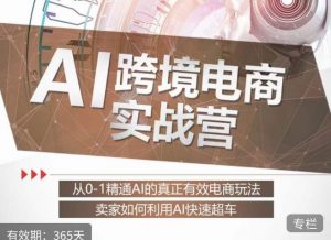 白龙老师·AI跨境电商实战营：从0-1精通Al的真正有效电商玩法，卖家如何利用Al快速超车-致富资源库