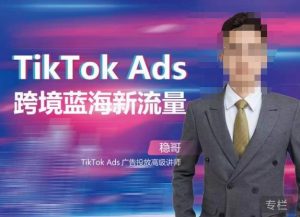 稳哥·如何投出高ROI的TikTok广告,开拓独立站卖家流量新蓝海-致富资源库