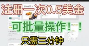 国外项目注册一次0.5美金,只需三分钟无脑操作,可批量同时放大操作,小白工作室福利【揭秘】-致富资源库