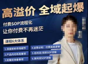 逸风-拼多多高溢价全域起爆,6大课程体系,付费玩法全套实操-致富资源库